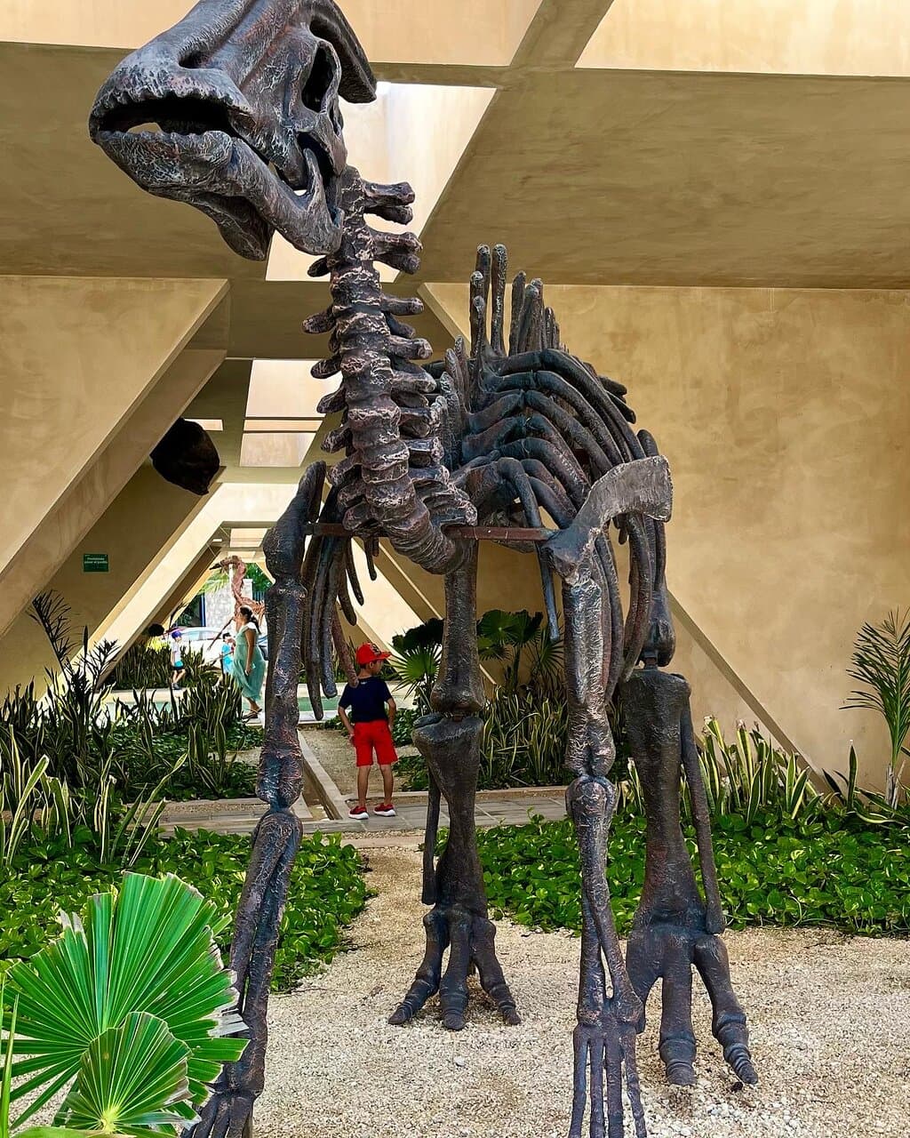 Museo del Meteorito Progreso