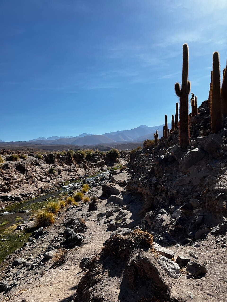 Guatin Cardones Canyon