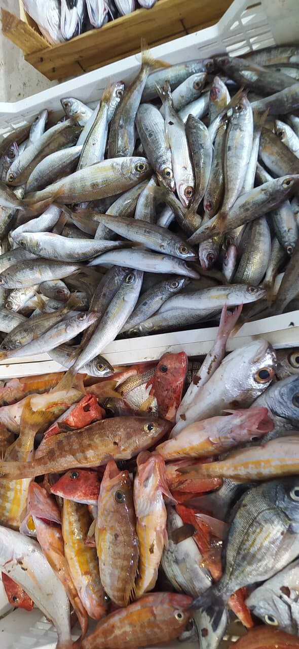 Pesciolini ….. sulla bancarella !!