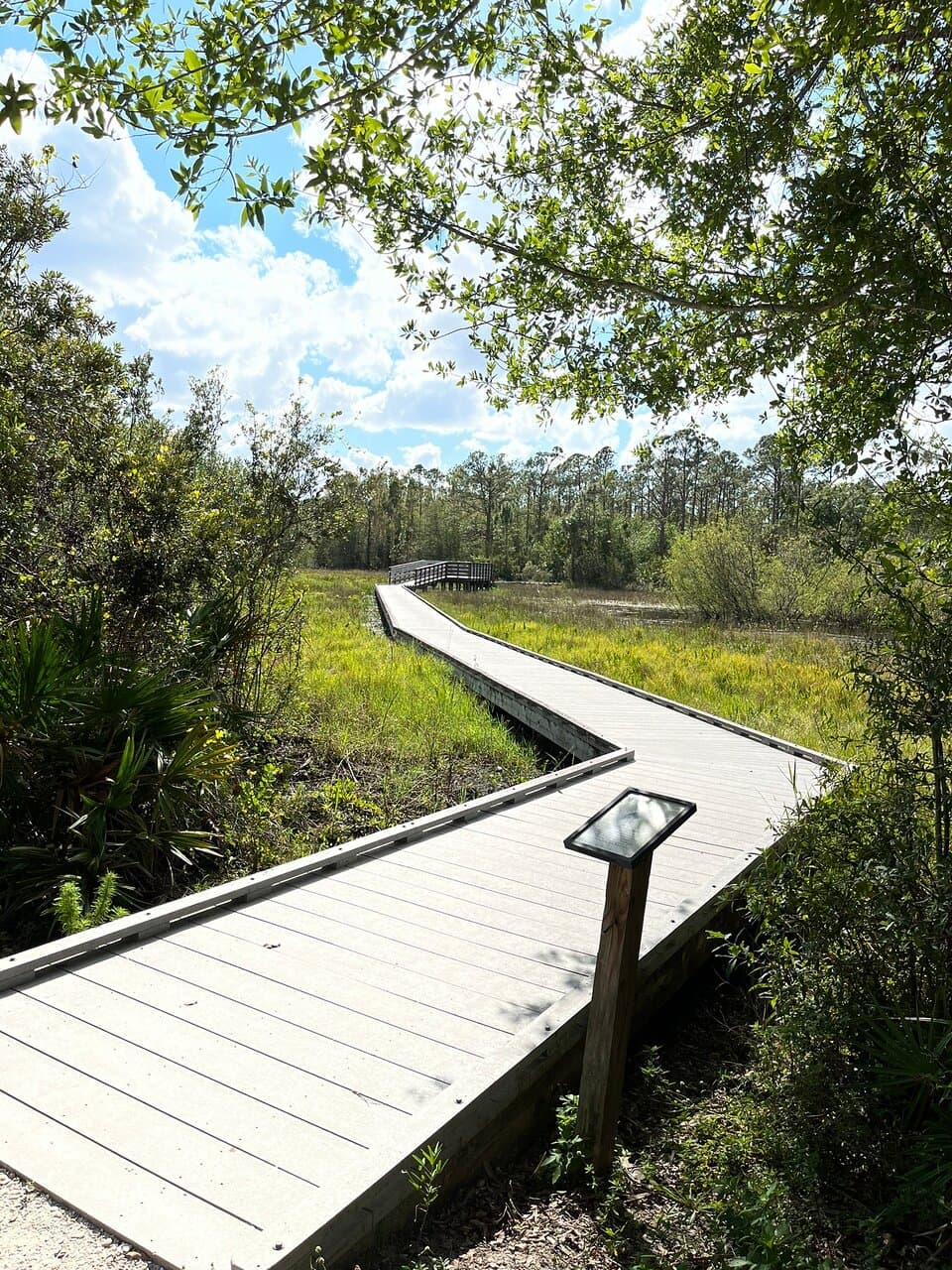 Prairie Pines Preserve