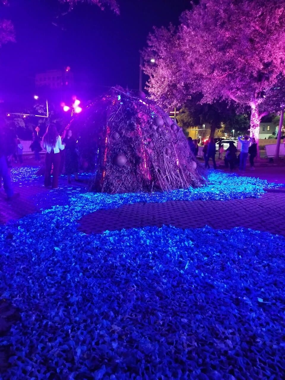 Creek Show 2019