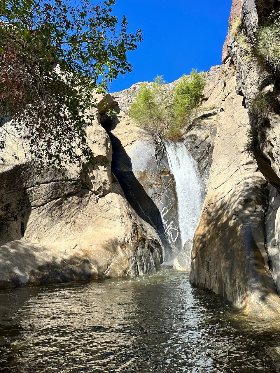 Great easy hike to the waterfall.