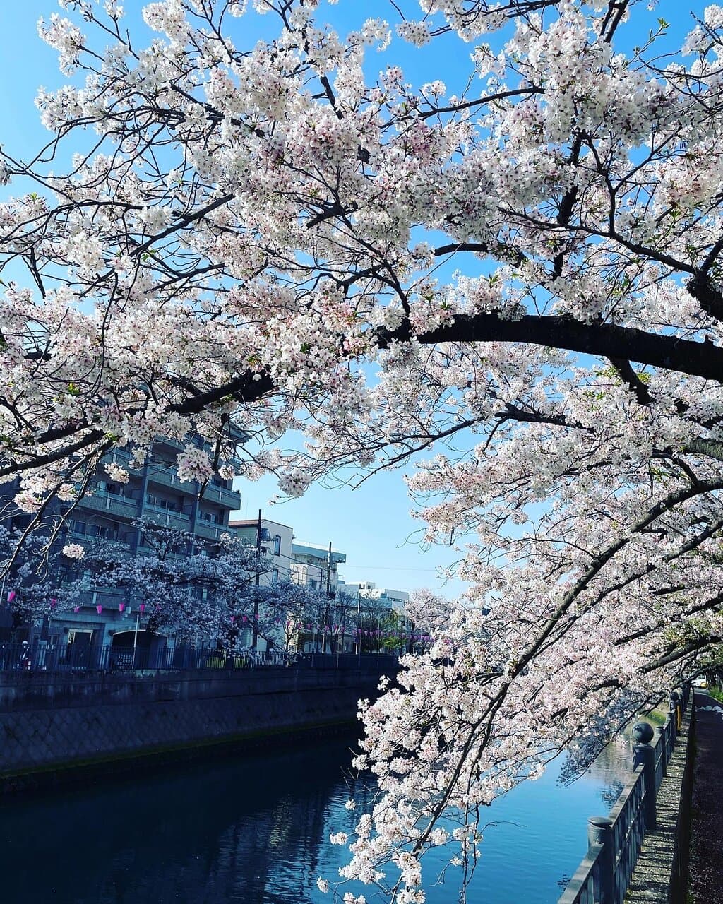Ooka River Promenade