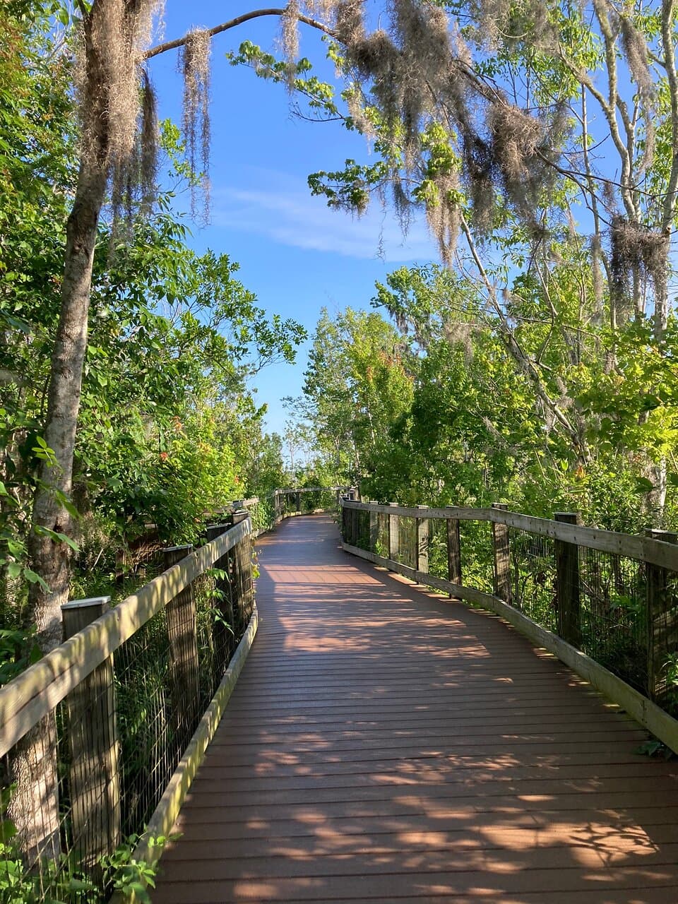 Oakland Nature Preserve Orlando
