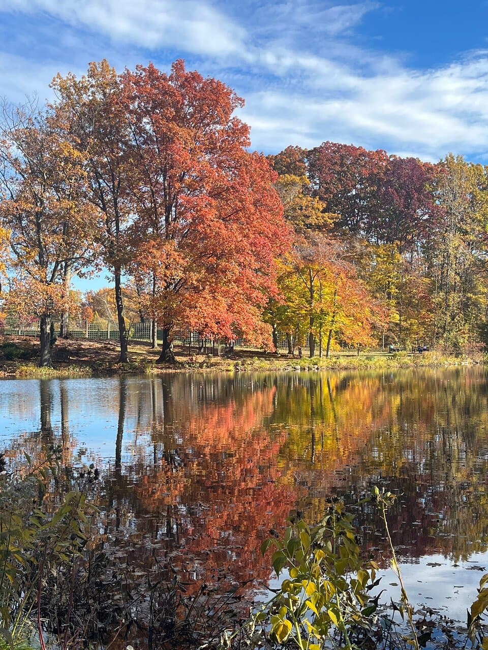 Stunning autumn trip to Holden Arboretum in Ohio.