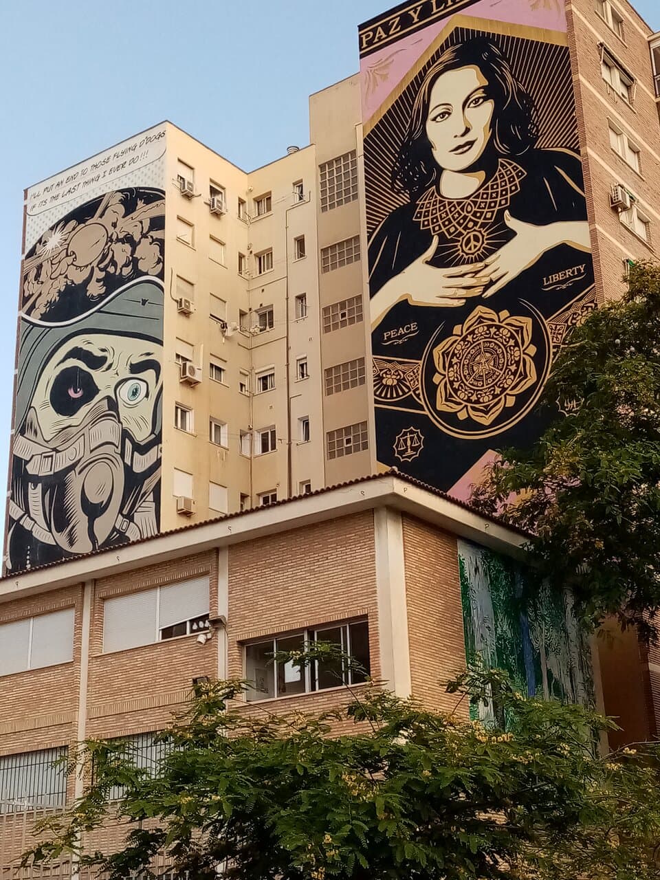 Particolare dei grandi murales di D*Face e Obey nel quartiere Soho di Malaga. Giugno 2023