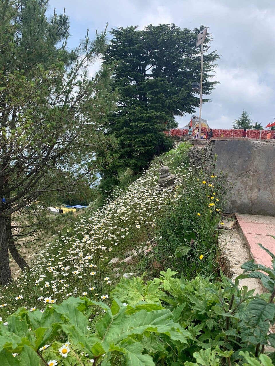 Mahasu Peak Kufri