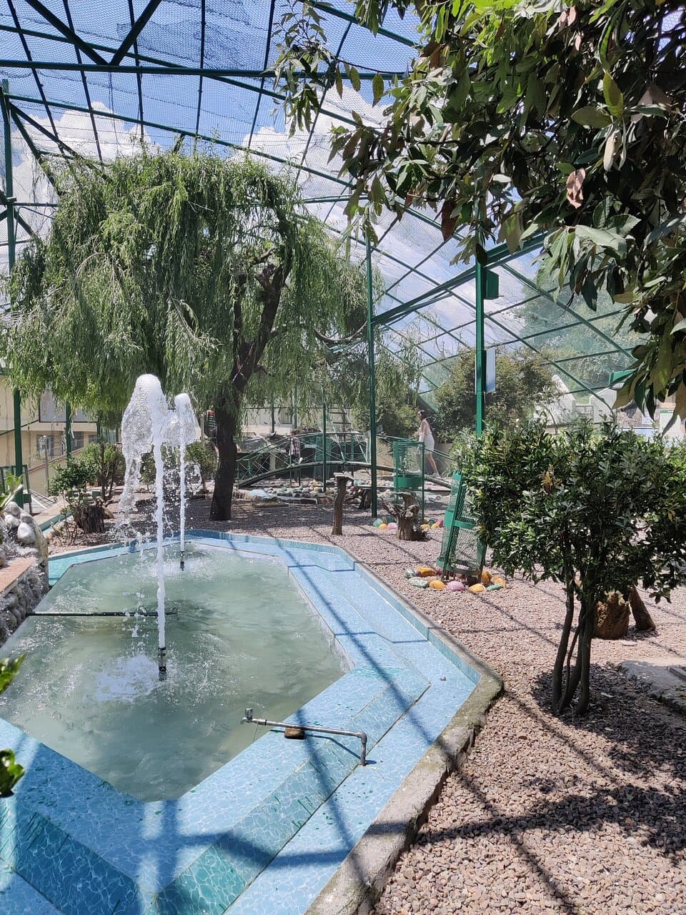 Water body at the park