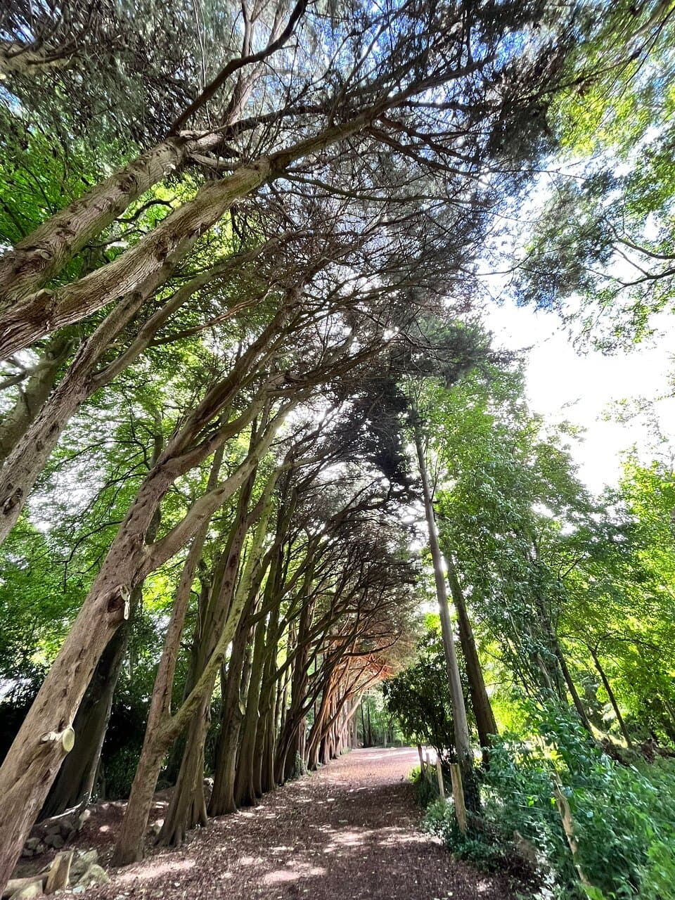 Explore Fernhill Park