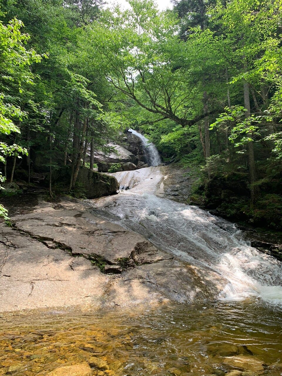 Dun Mountain Coppermine Trail