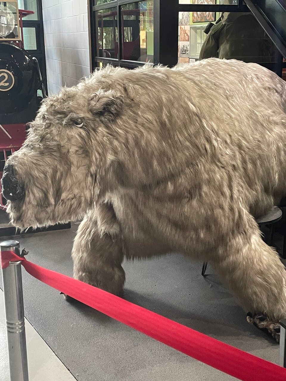 Riversleigh Fossil Centre