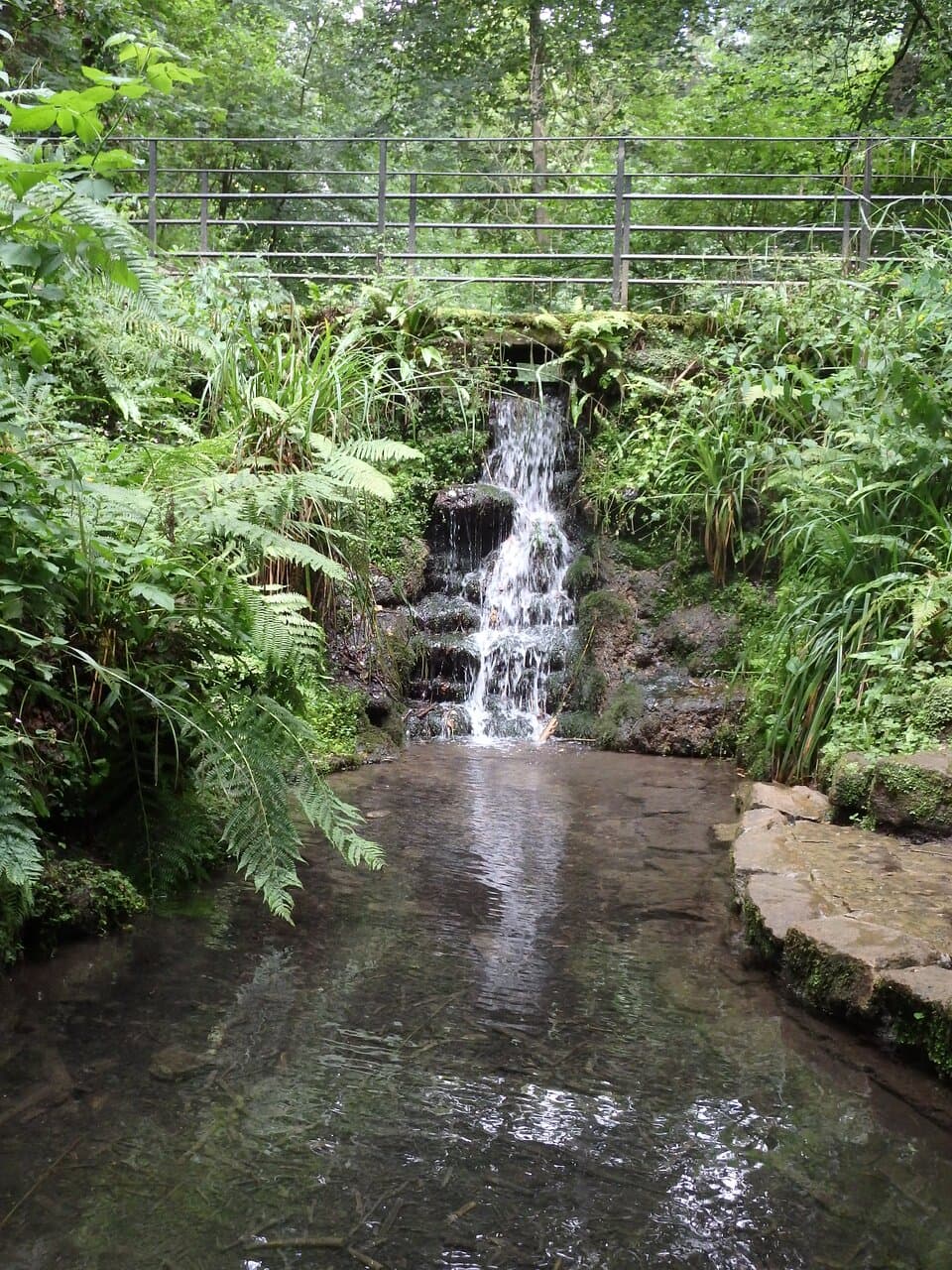 Ninesprings Yeovil Country Park