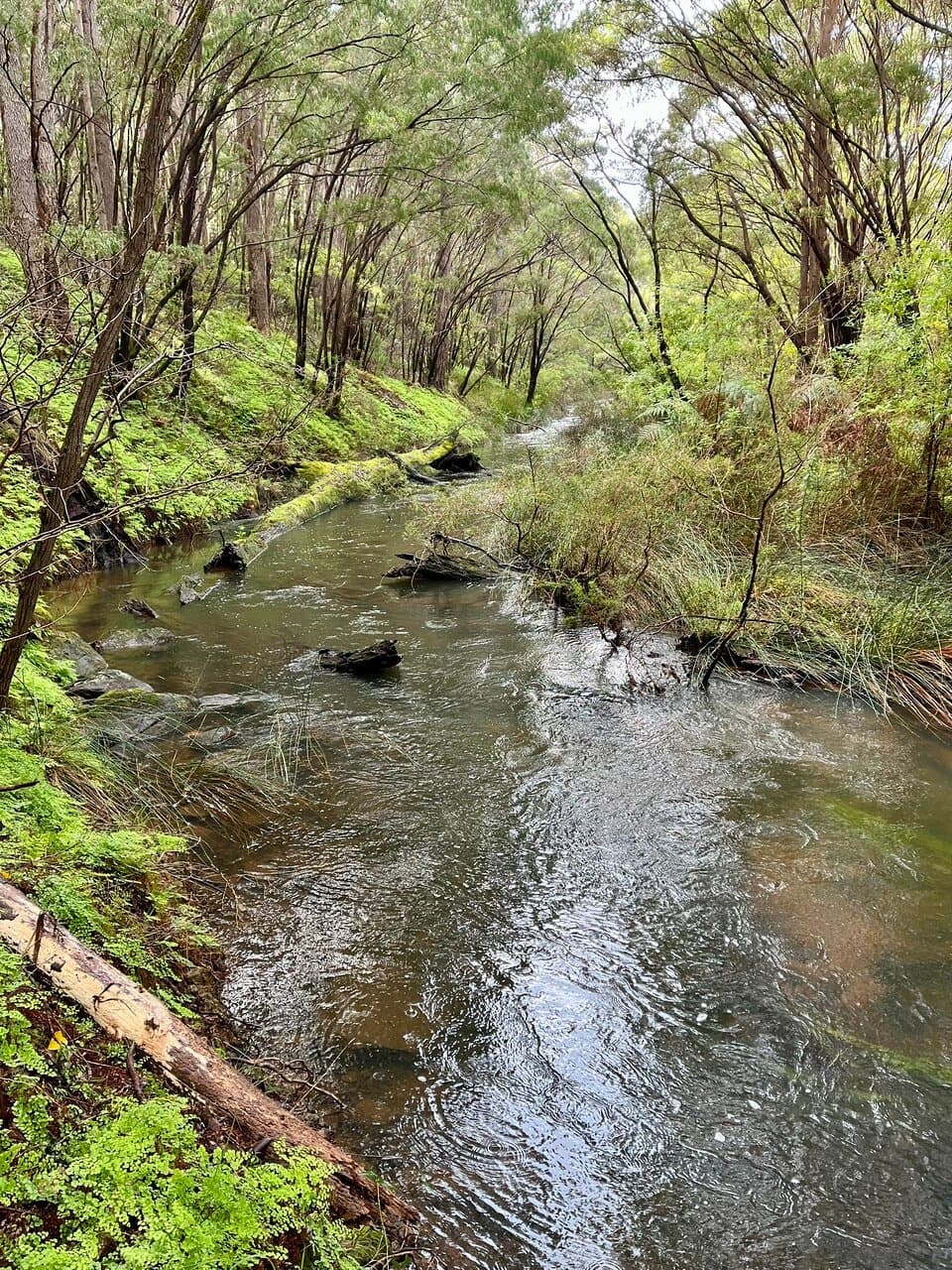 Natur und Museum, image size:960x1280