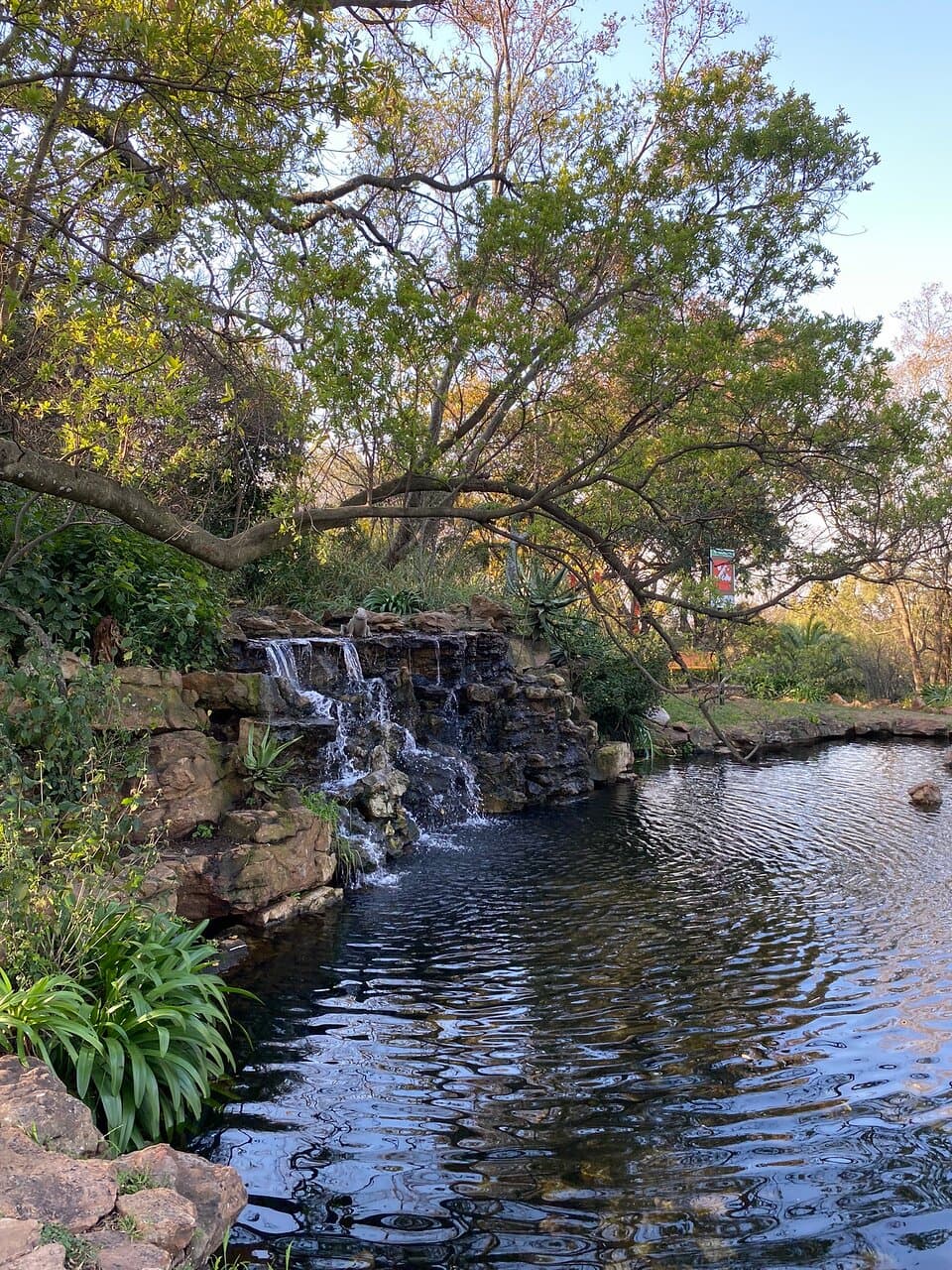 Beautiful park to walk!