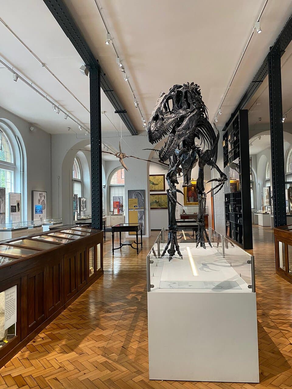 Lapworth Museum of Geology