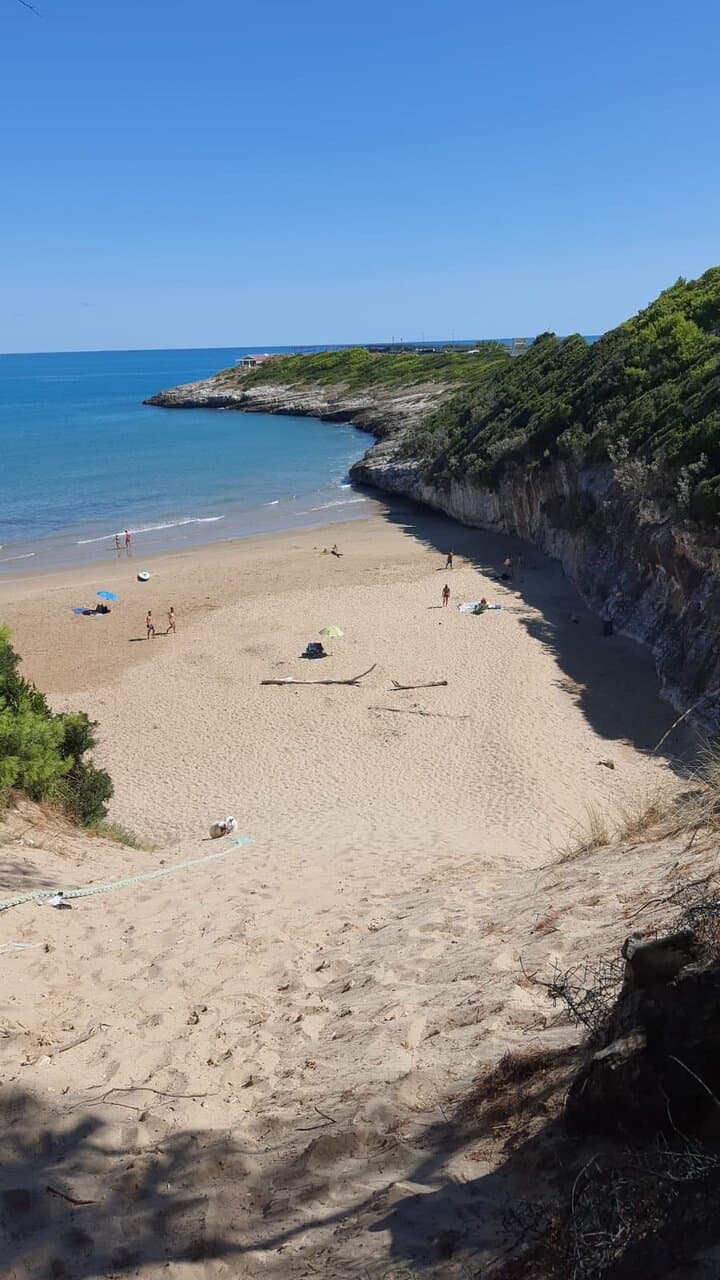 Spiaggia pulita bellissima, sabbia fine color terra, accessibile da varco in recinzione, no parcheggio su  strada a tornanti senza banchine. Si può parcheggiare al lido accanto prenotando 2 lettini parcheggio auto coperto e ombrellone 20 euro. La discesa alla spiaggia è forte pendenza ed è facile mentre la risalita è difficoltosa. Per risalire usare  corda passamano  esistente in loco o risalire dalla pineta è un po più semplice ma sempre impegnativo. Pochi utenti. Ne vale la pena. Portare acqua