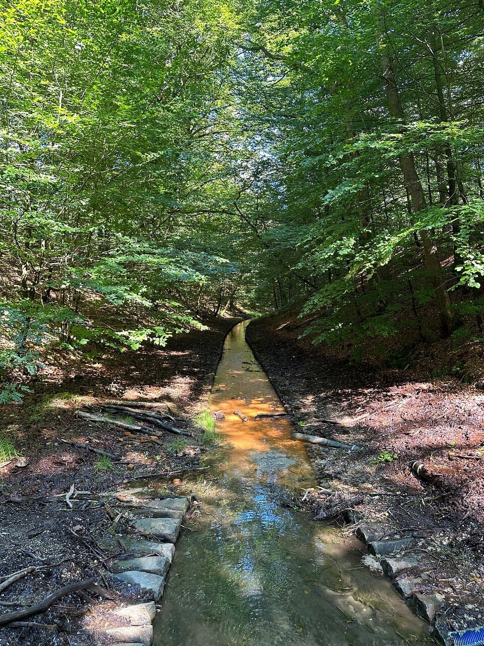 Looking downstream