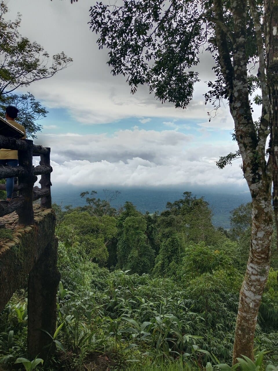 จุดชมวิว