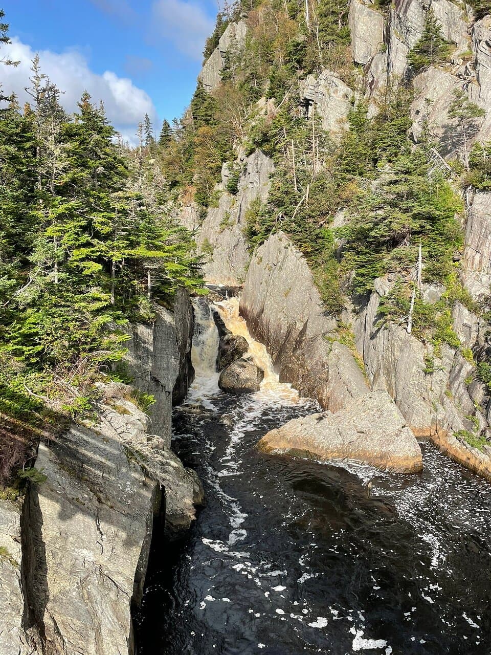 La Manche Provincial Park Suspension Bridge