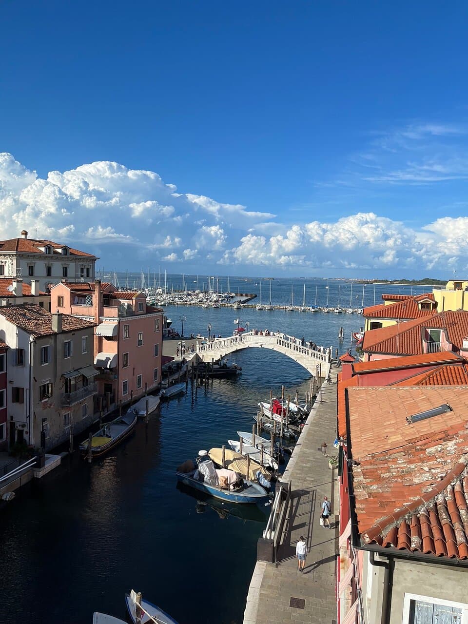 Museo di Zoologia Adriatica Giuseppe Olivi