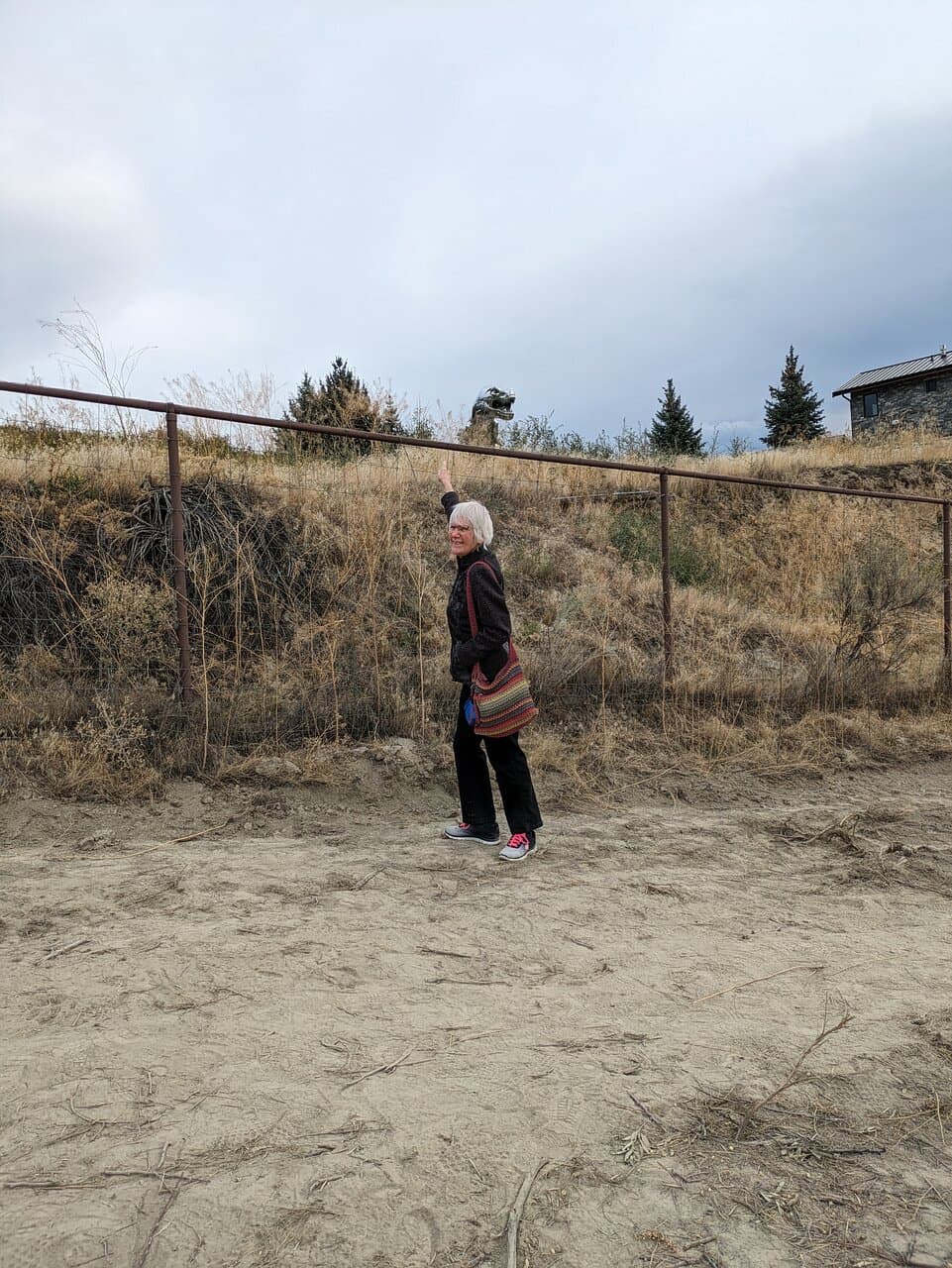 With my sister and I on Penticton’s KVR trail, we viewed Alice, the Stainless Steel T-Rex.  Located on the Naramata Bench, this mirror-polished dinosaur is 35 feet tall and 50 feet long.  Affectionately called Alice, she weighs 12,000 pounds and is situated on private property.  Placed in a prominent area, she can been seen by hikers on the KVR trail. The landowner commissioned Kevin Stone to create this realistic sculpture. Two years in the making, she was carefully transported to her new home.