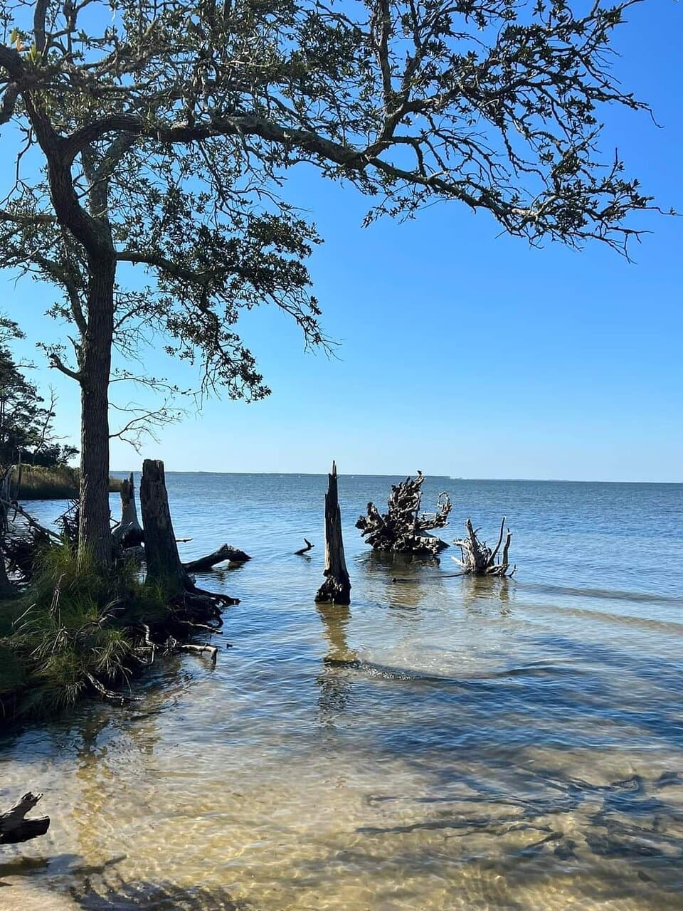 Nags Head Woods Preserve