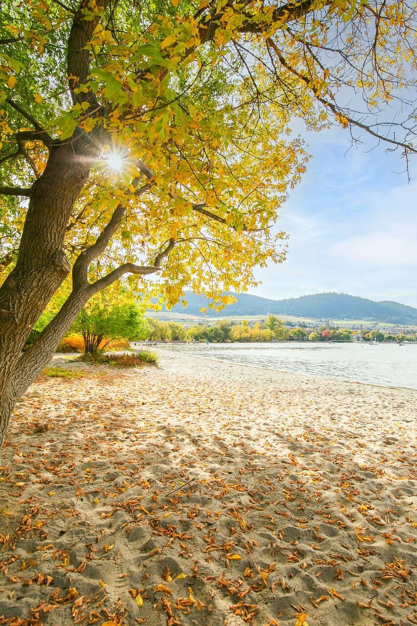No matter the season, your children will love to run and play at Kin Beach located on the eastern shore of the Vernon arm of Okanagan Lake.   The playground has swings, a teeter totter and a jungle gym.   Gather the family in the large picnic shelter or enjoy a stroll on the beach. 