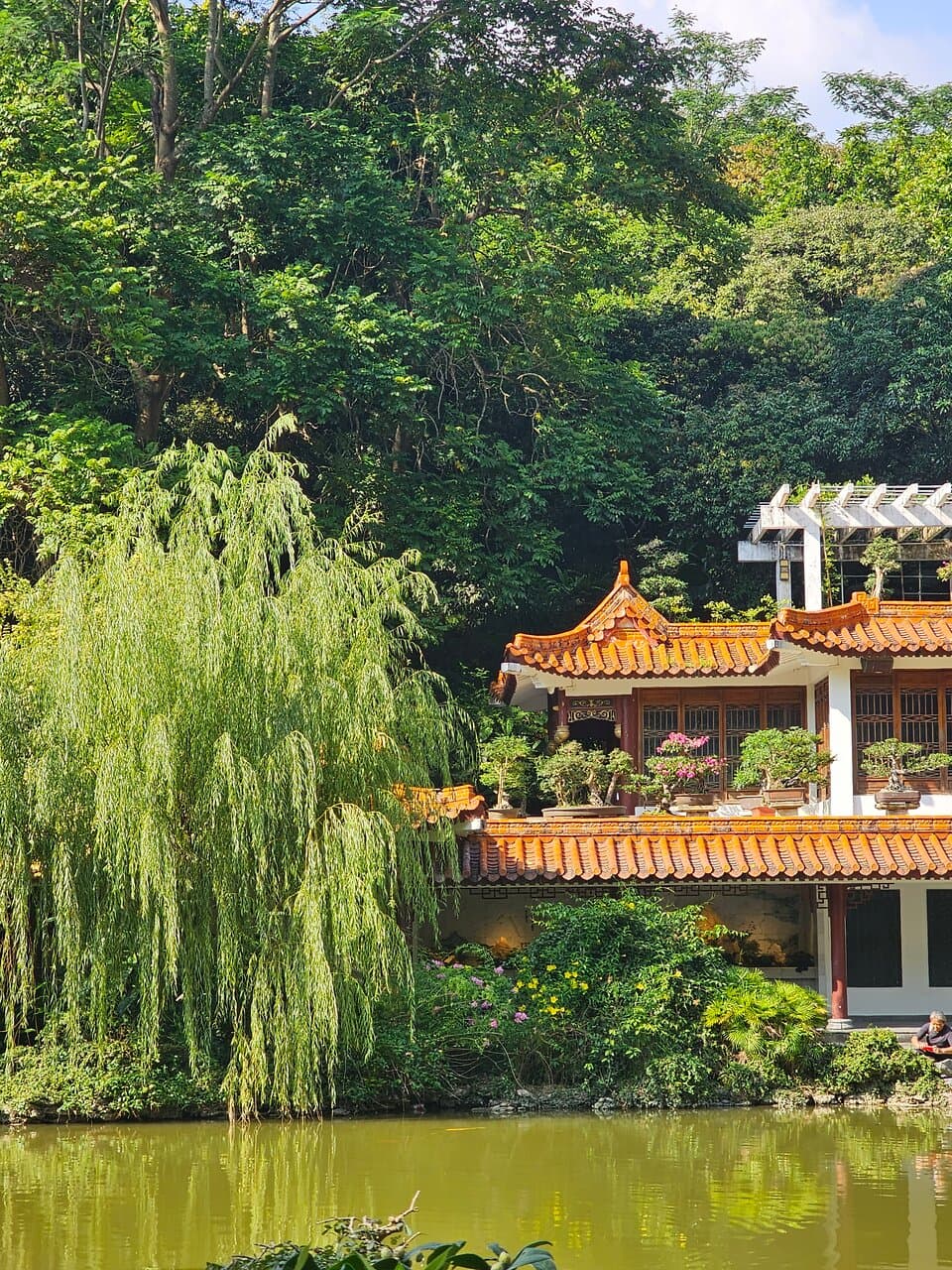 Fairy Lake Botanical Garden