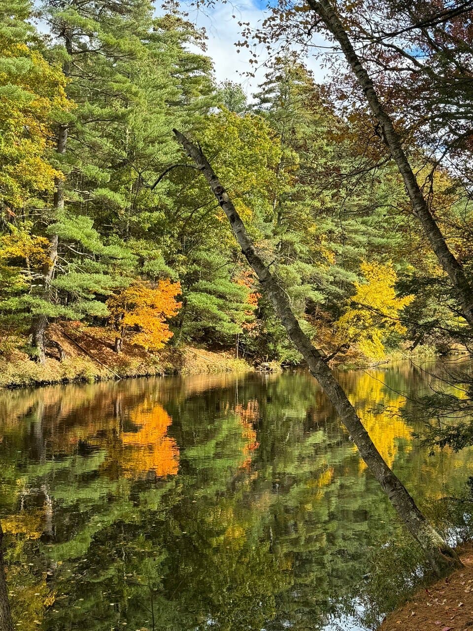Wildcat Falls Conservation Area