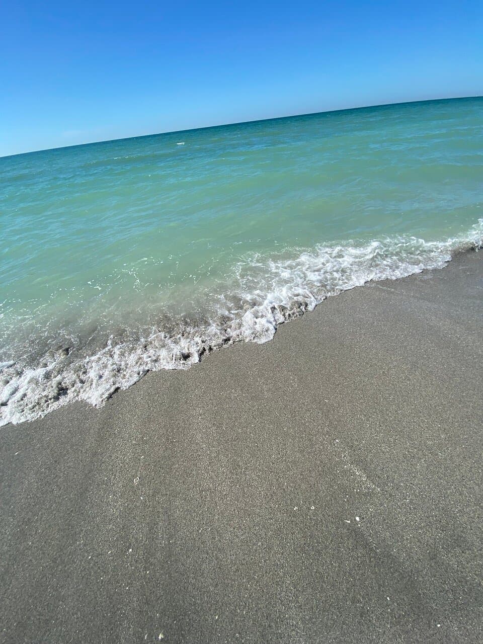 Brohard Paw Park Dog Beach