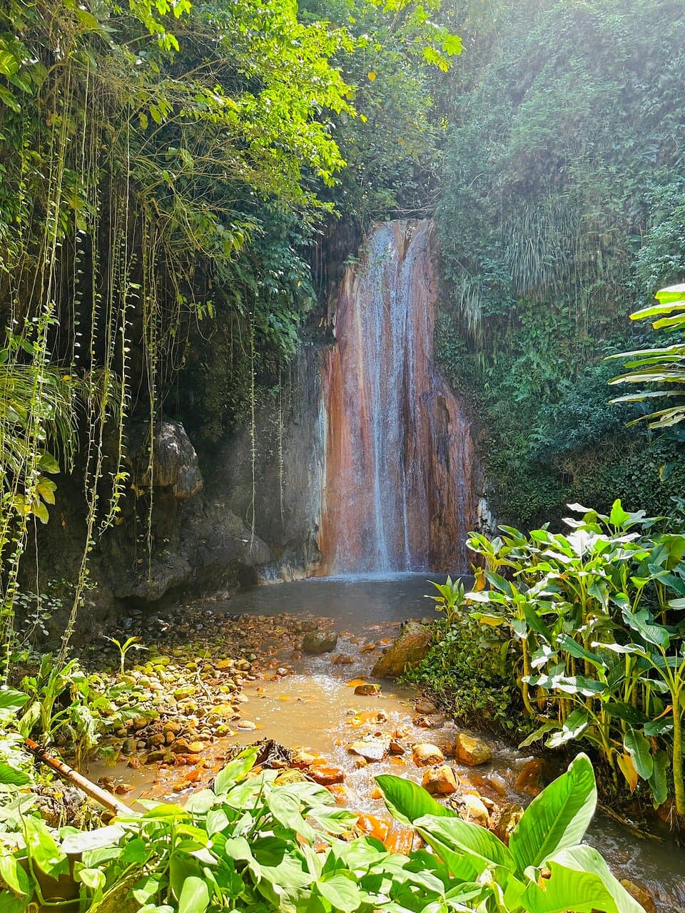 Diamond Falls Botanical Gardens Soufrière St Lucia