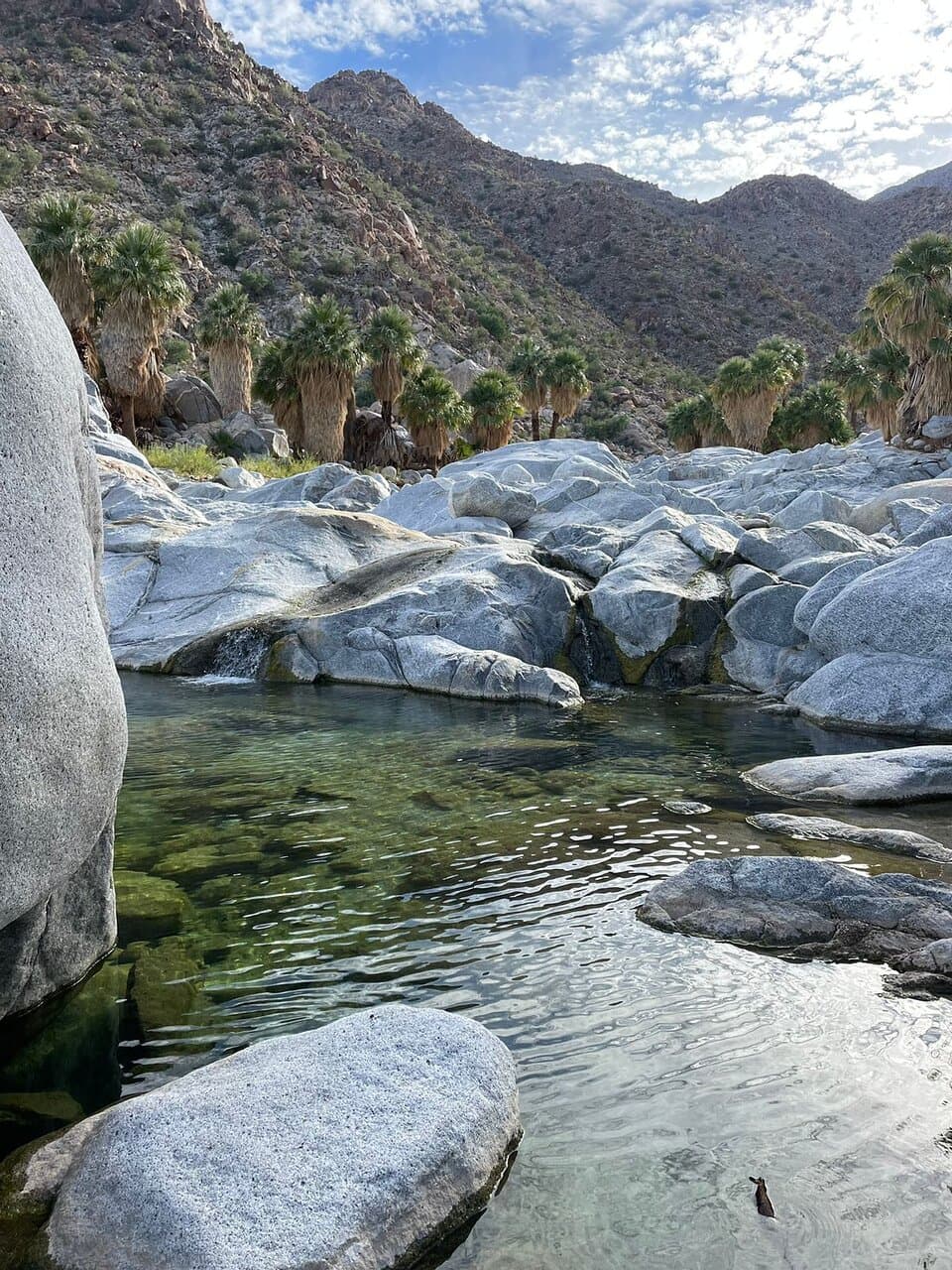 Cañón de Guadalupe Hot Springs Baja California Mexico