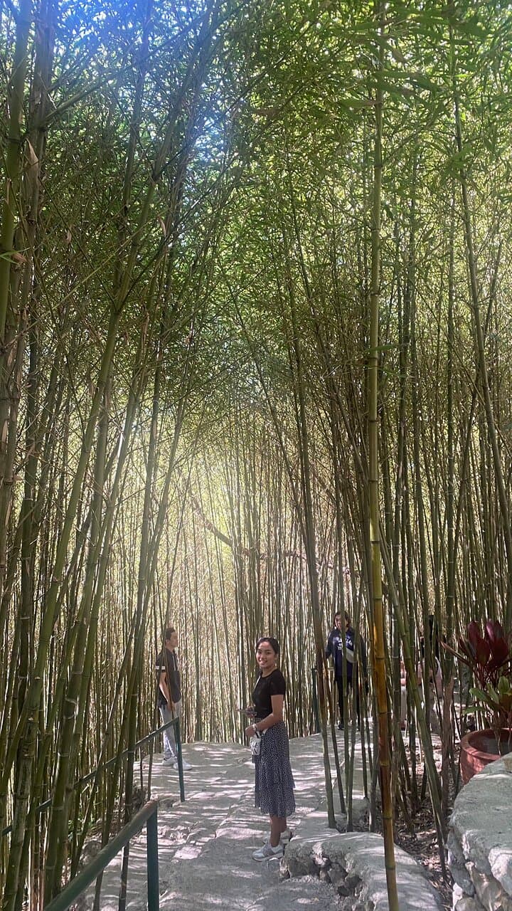 Mirador Heritage and Eco Park