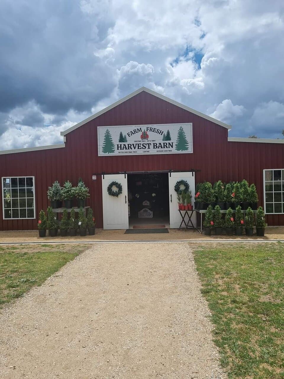 Granite Belt Christmas Farm