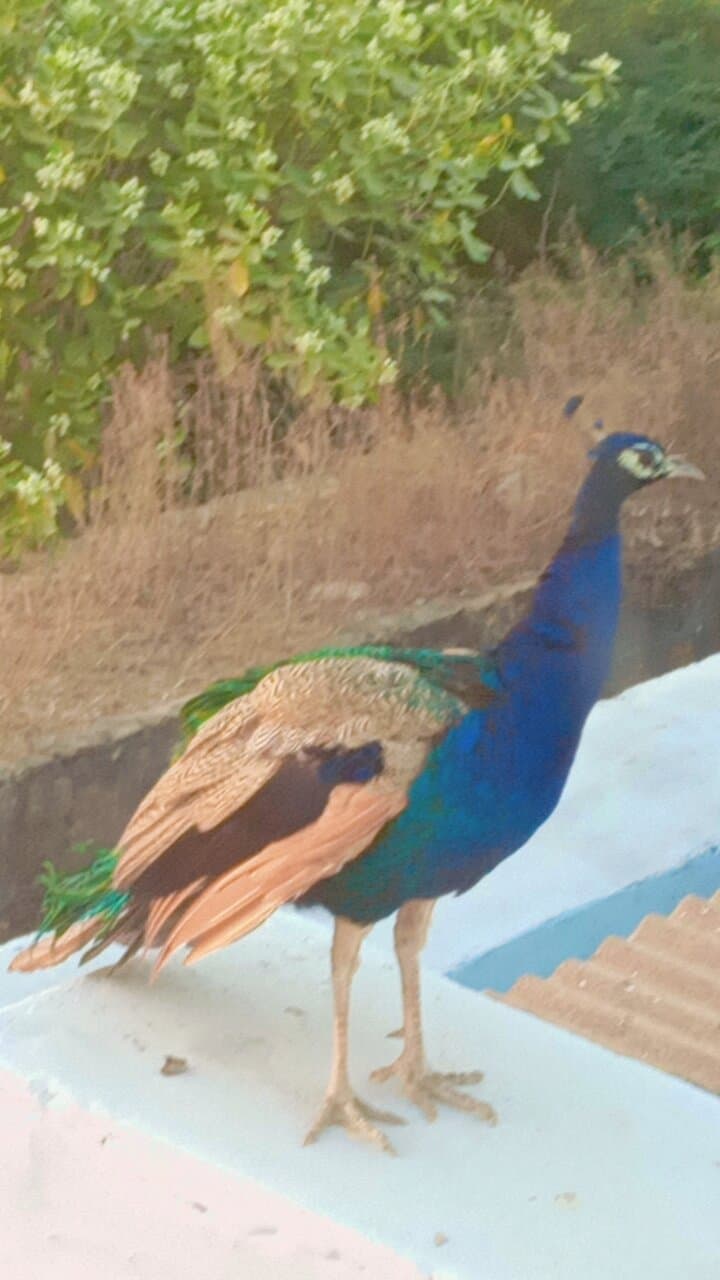 Tera Village Heritage