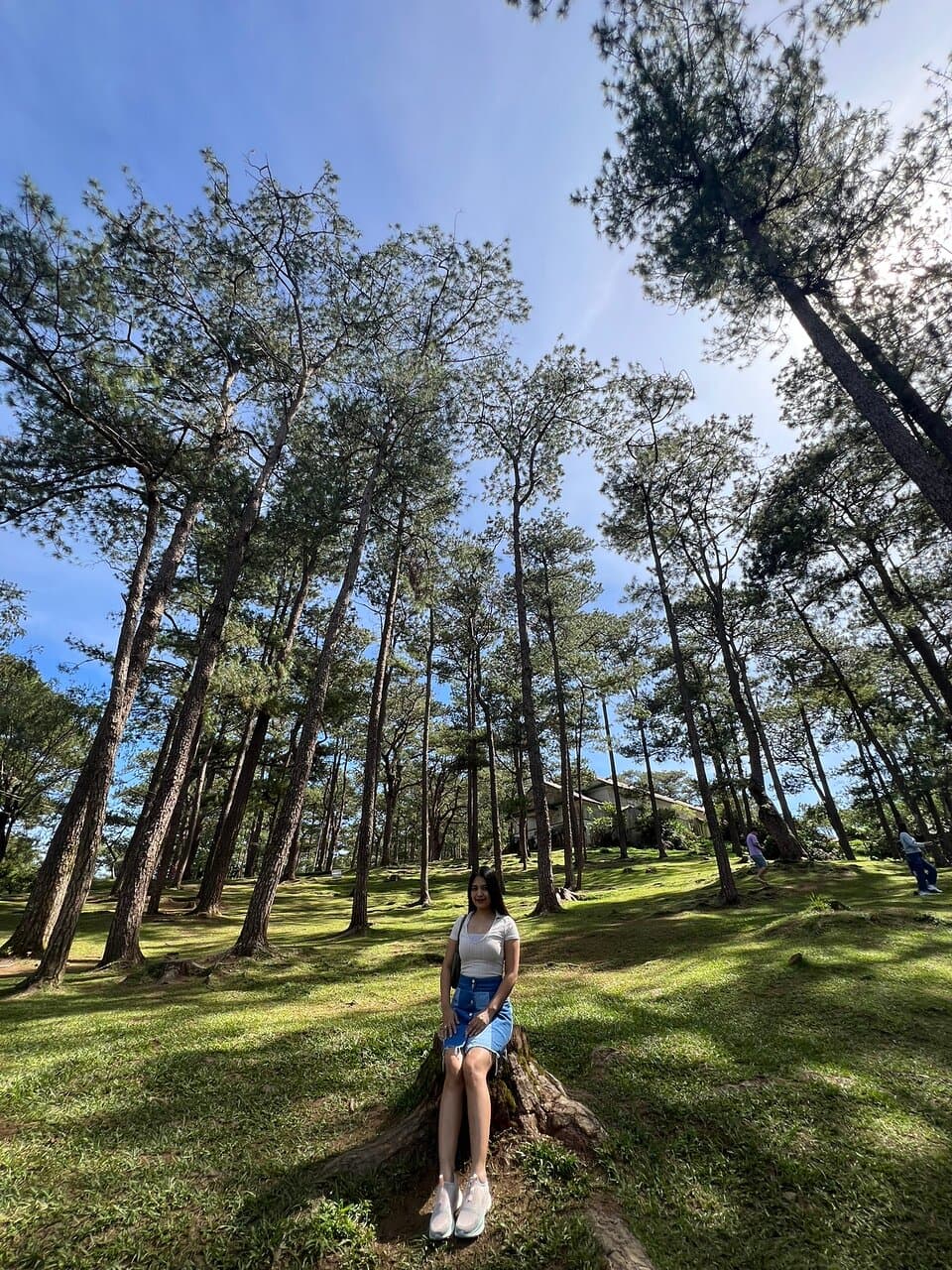 Camp John Hay Eco Trail Baguio