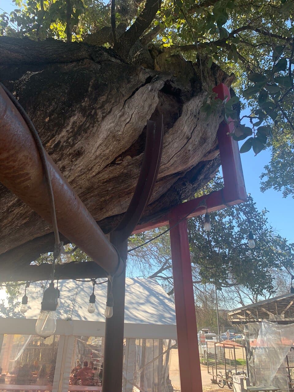 Better Half Coffee & Cocktails