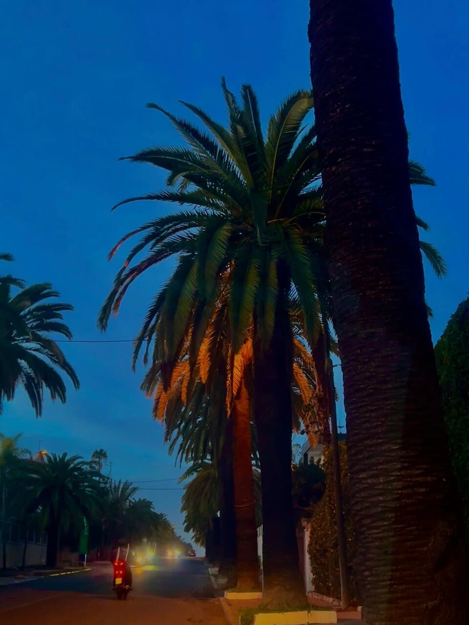 أحببت المنظر