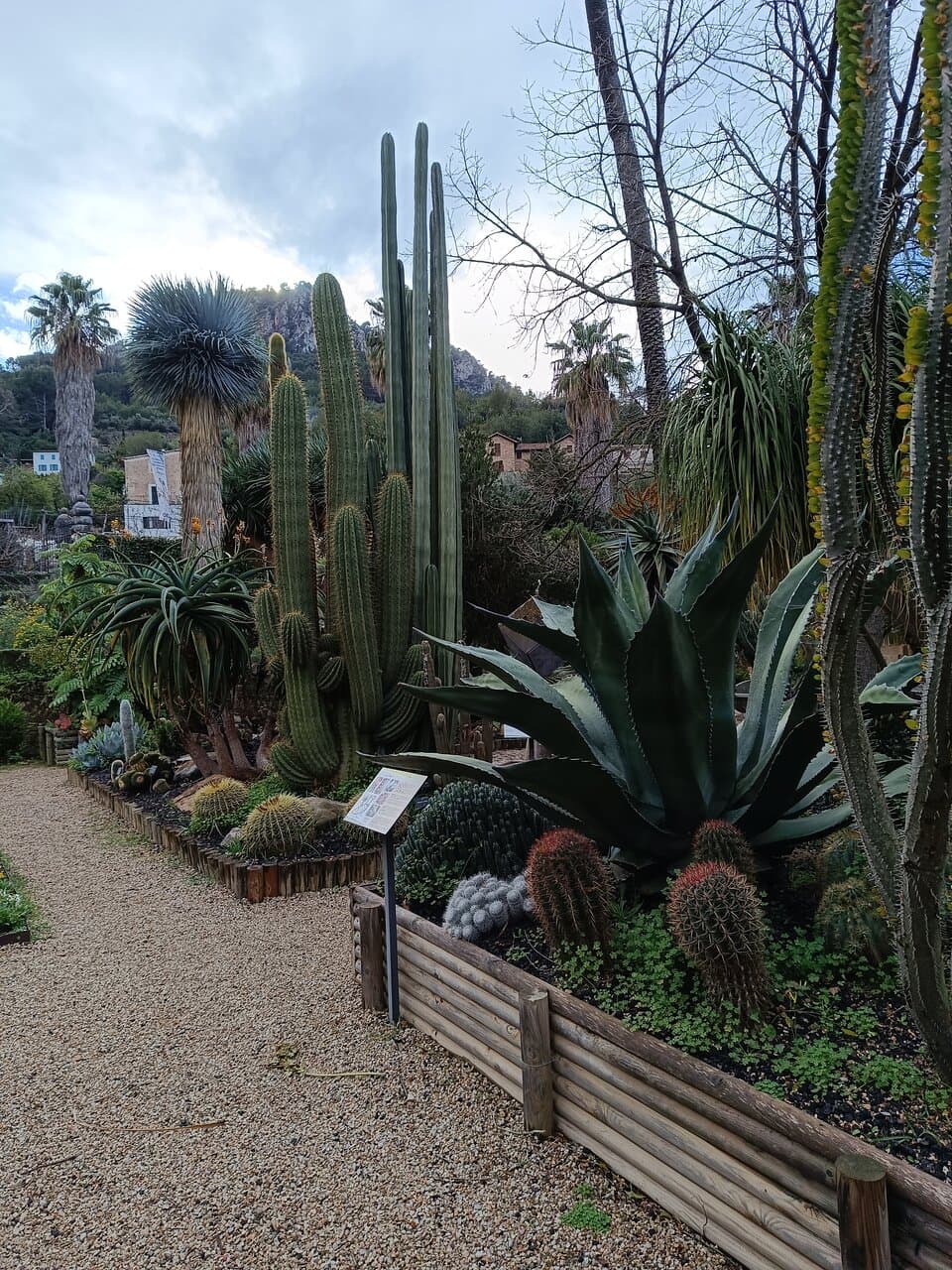 Museu Balear de Ciències Naturals Sóller Mallorca