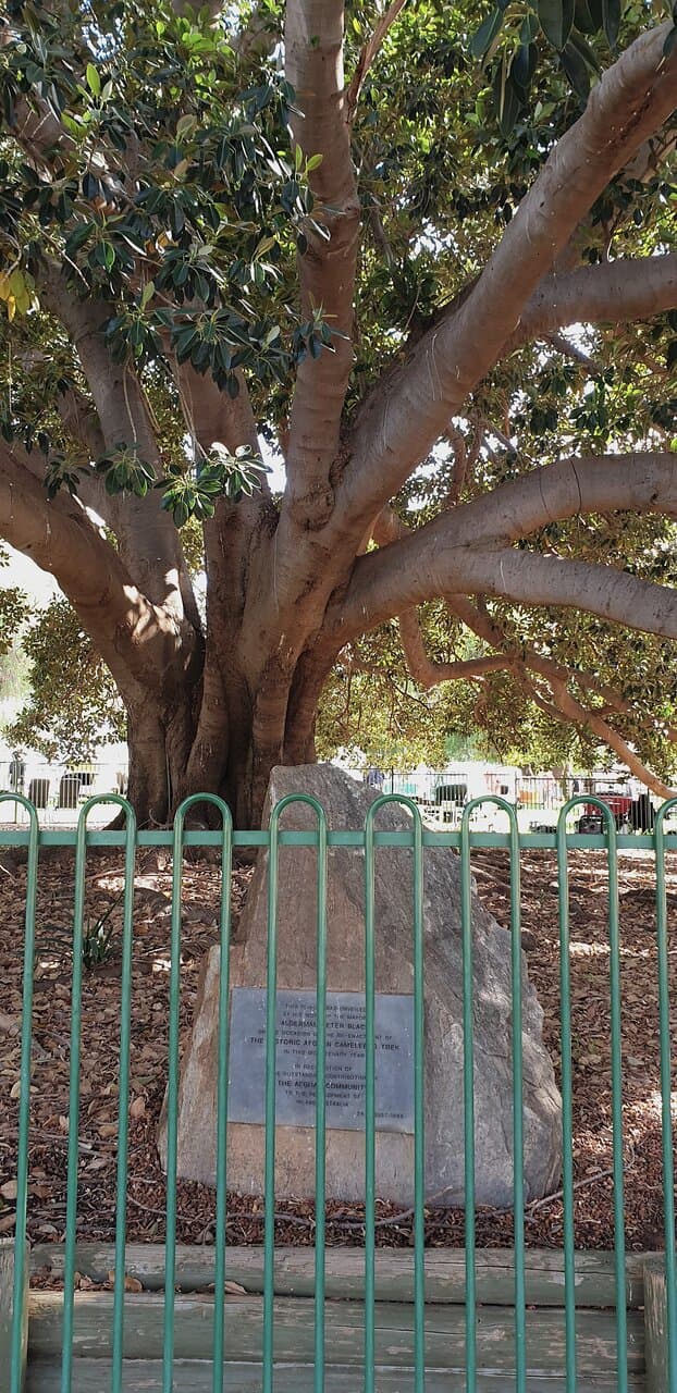 Historic Tribute to Afghan Cameleers Broken Hill NSW 