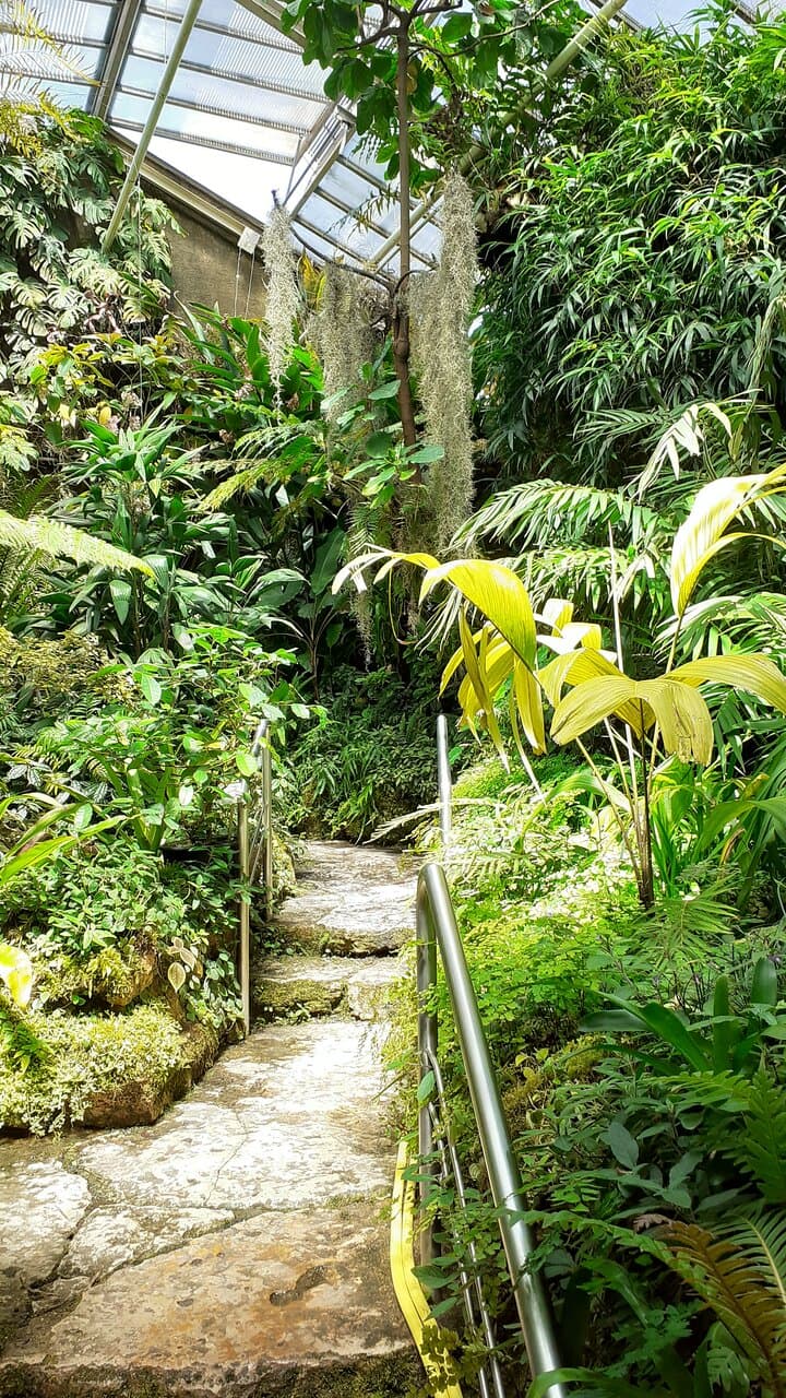 Erlangen Botanical Garden