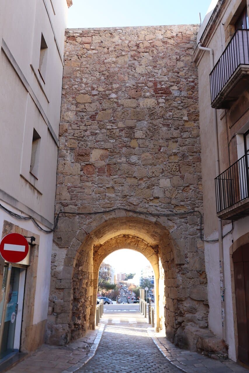 Portal Del Roser