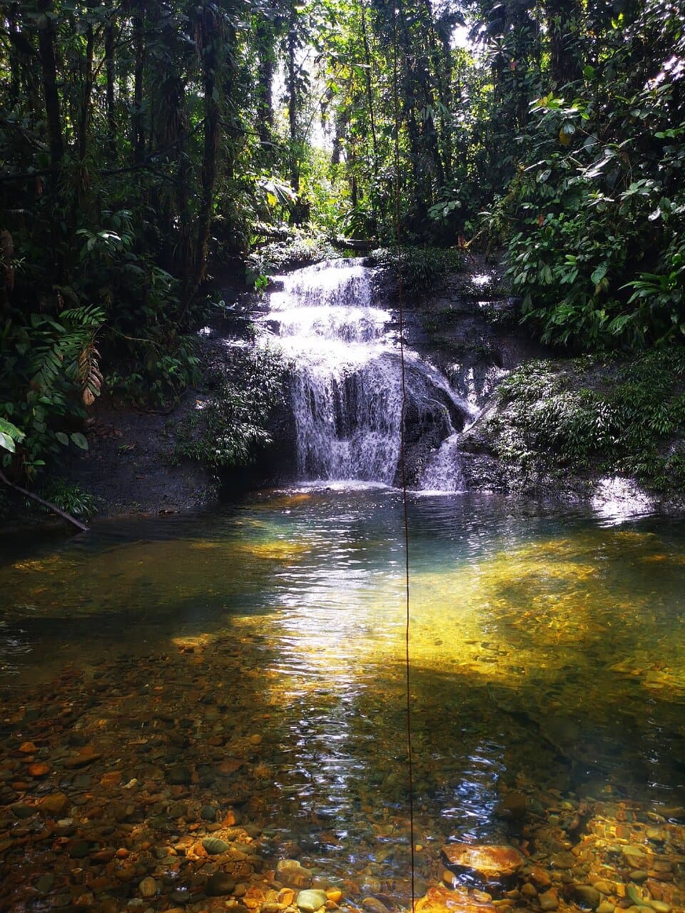 Reserva natural  San cipriano,  en Buenaventura, Colombia