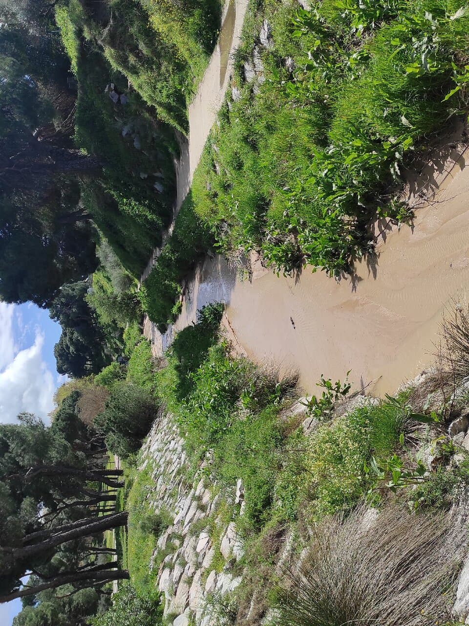 Arroyo en la Senda Mágica