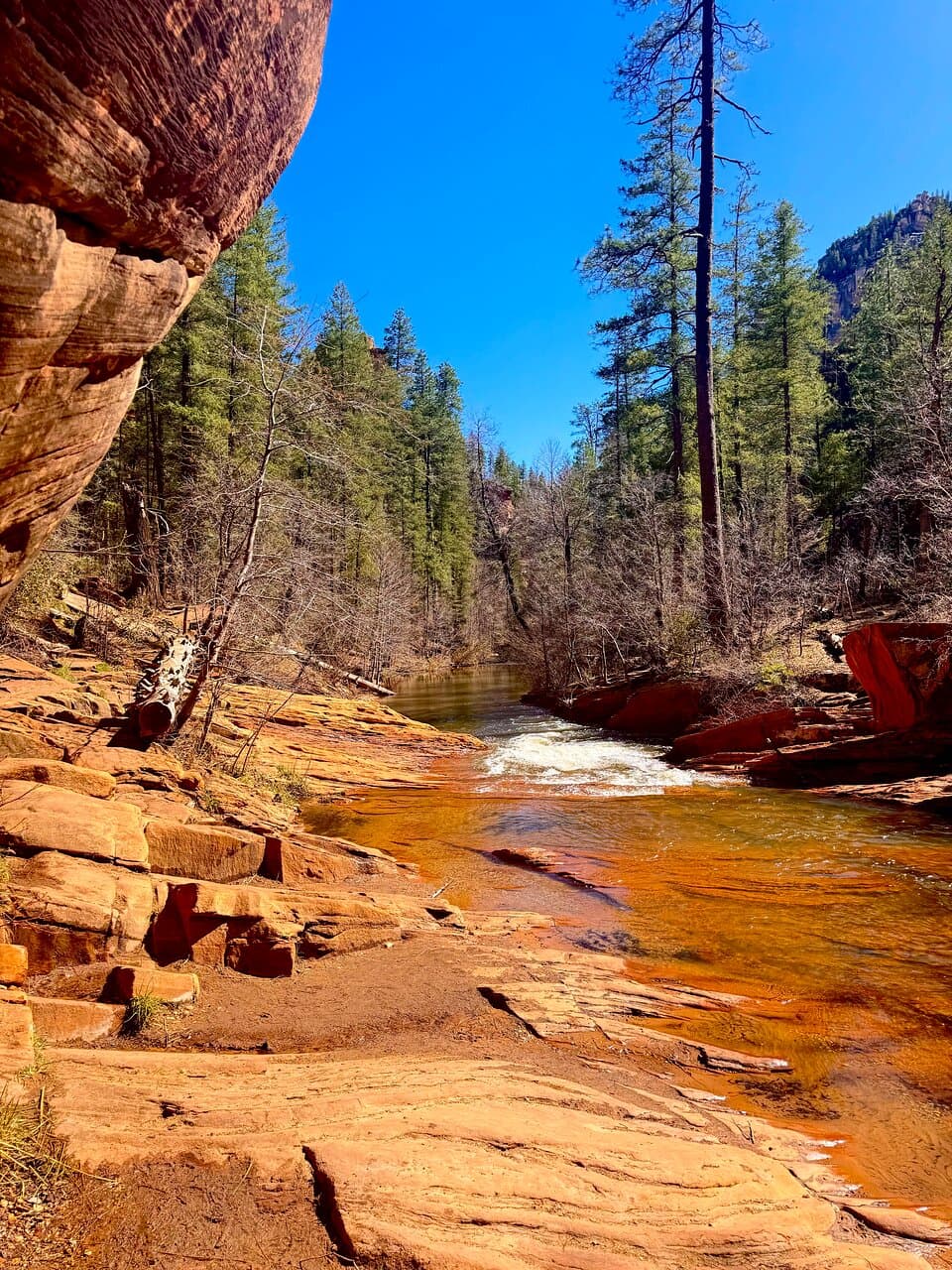 West Fork Oak Creek Trail