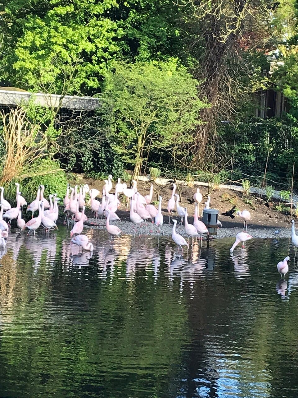 Artis plein april 2024
