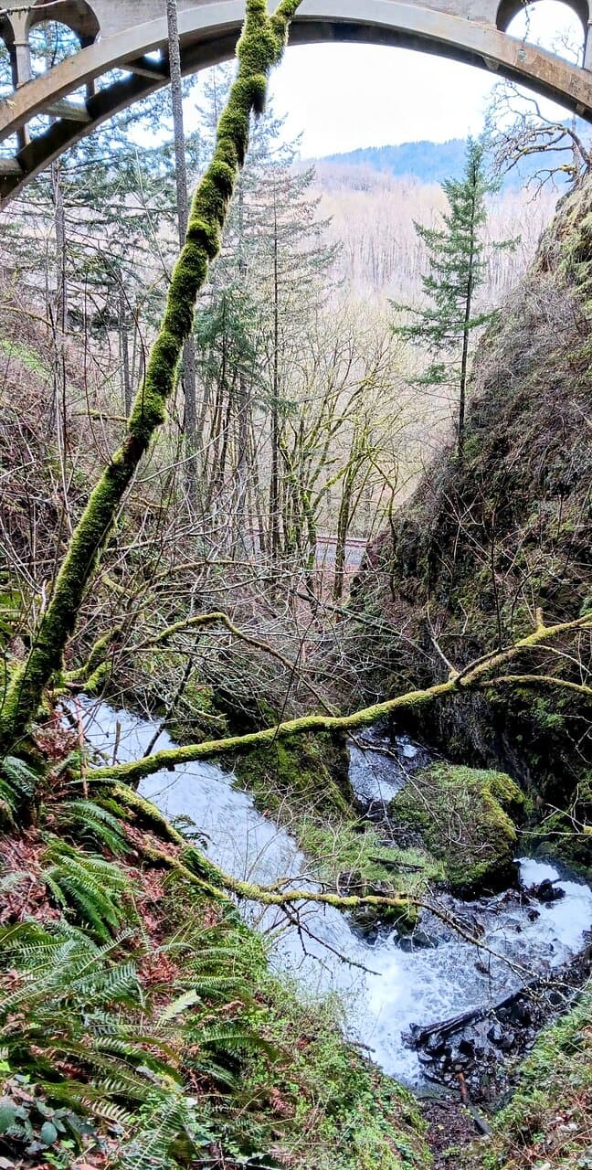 Shepperd's Dell Falls