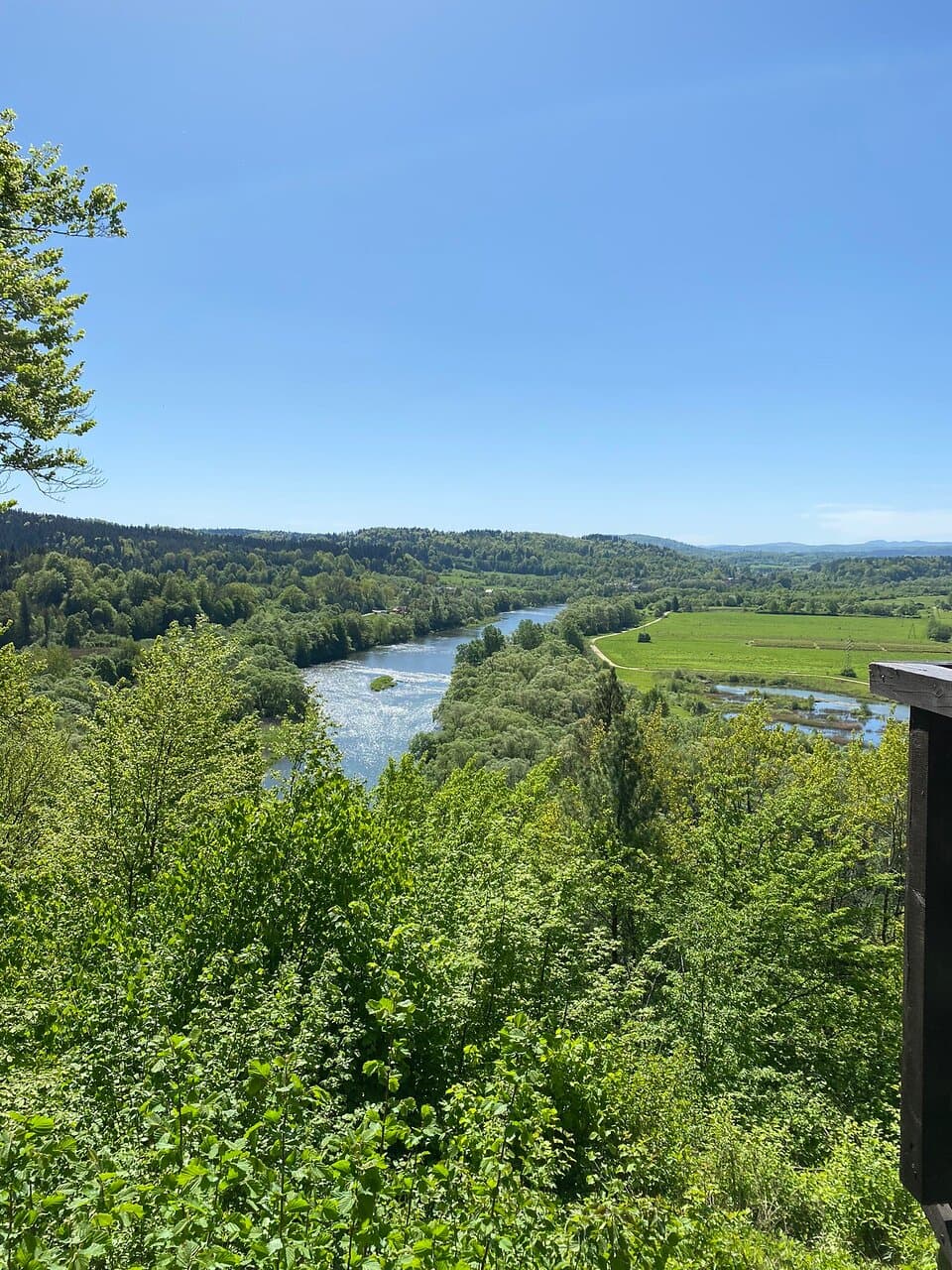 Sobień Castle Ruins