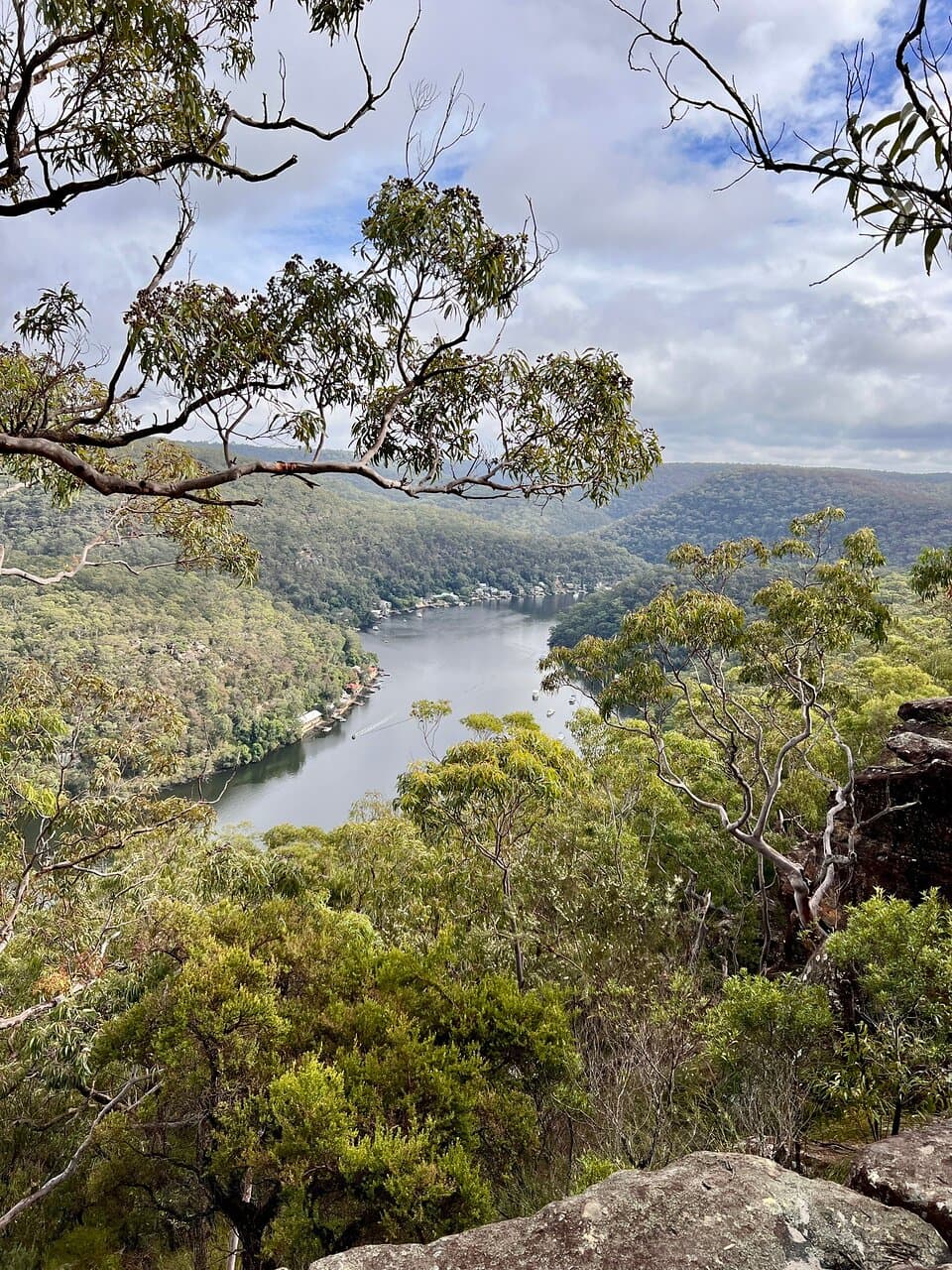 See Echidnas in Berowra Valley National Park