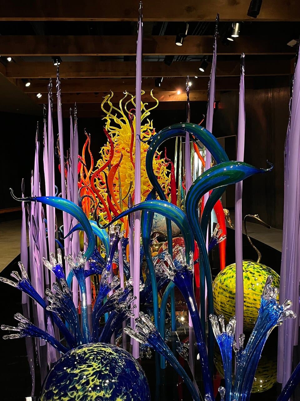 Chihuly Collection